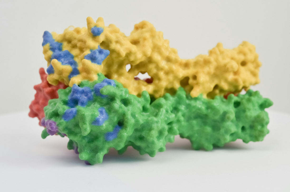 Exploring Pyridine: Critical Insights into Its Biological and Industrial Significance