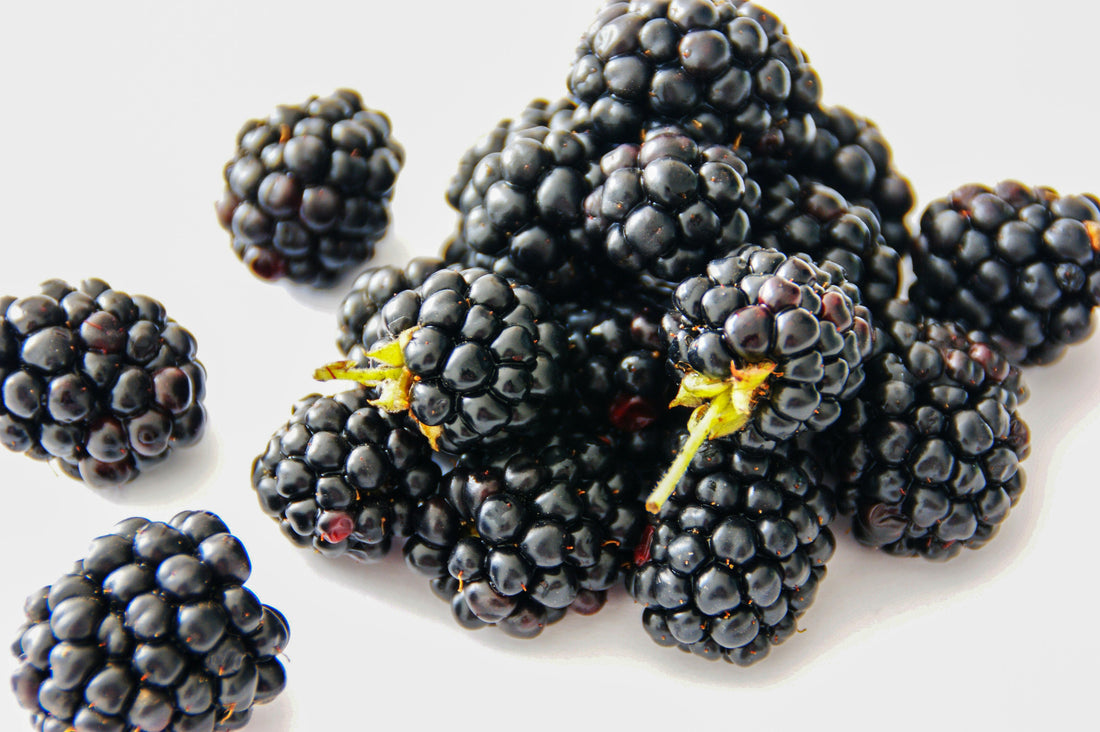 Premier Supplier of Bulk Blackberry Flavoring: Expert Extracts and Essences for Baking & Cooking