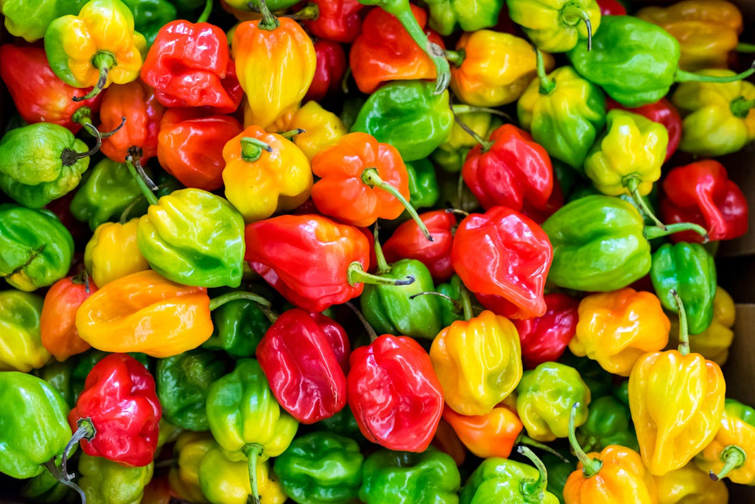 Premier Habanero Flavorings & Extracts: Your Ultimate Source for Wholesale & Bulk Habanero Flavors for Baking and Cooking