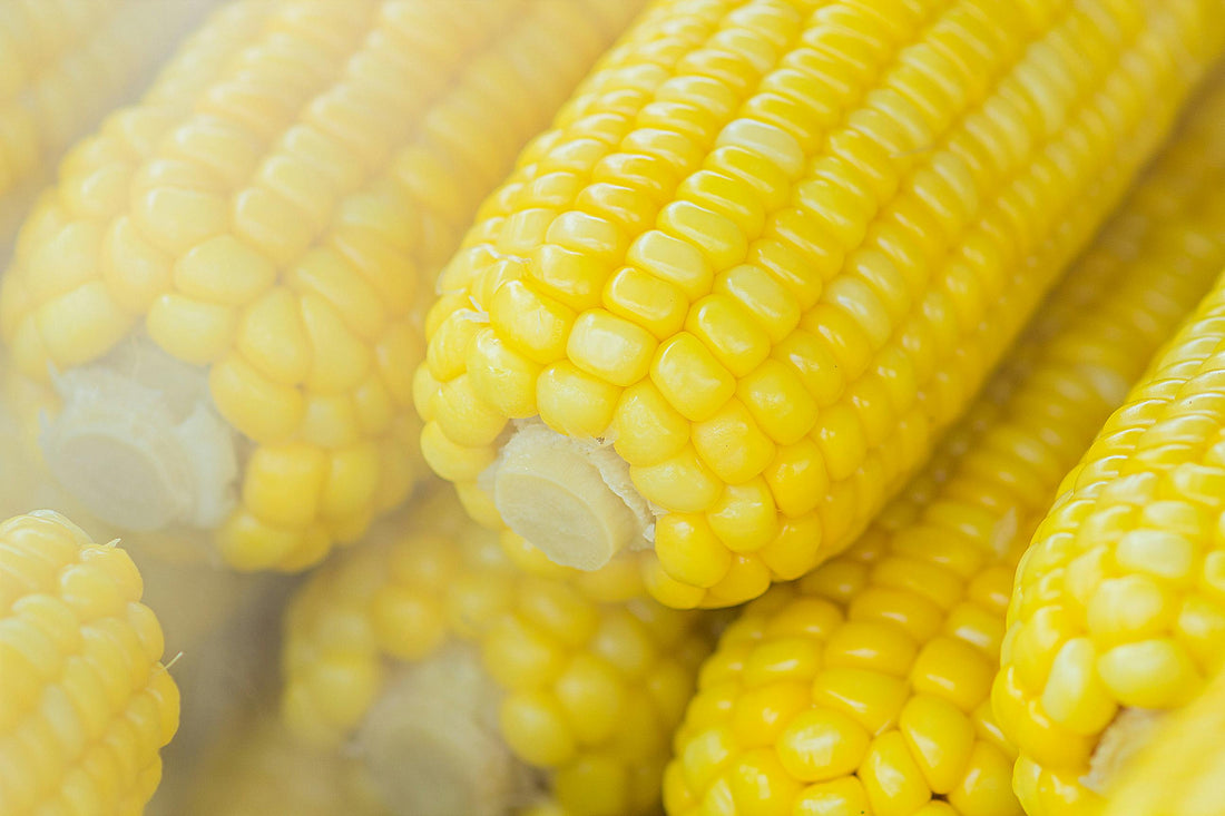 Comprehensive Guide to Wholesale and Bulk Suppliers of Sweet Corn Flavorings