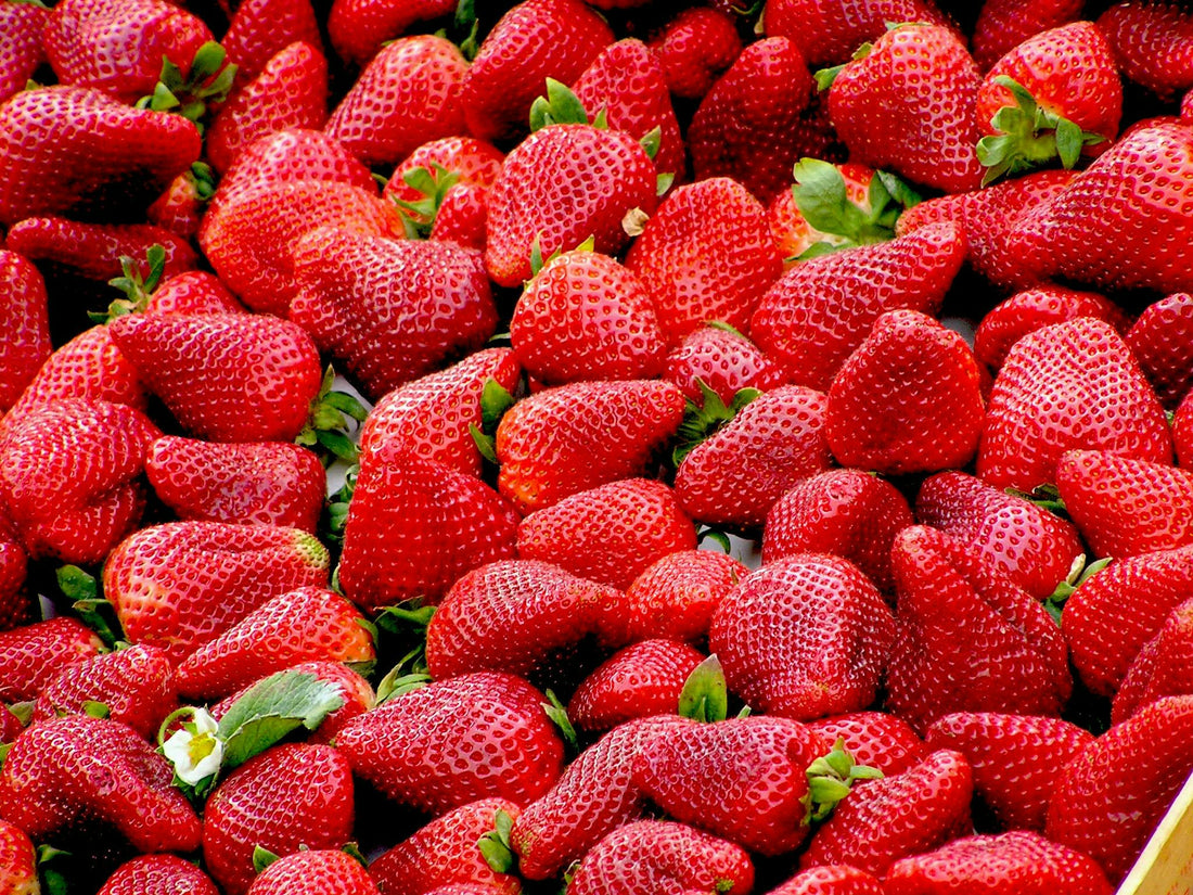 Leading Wholesale Bulk Suppliers of Strawberry Flavorings: Extracts, Concentrates, and Essences for Baking & Cooking