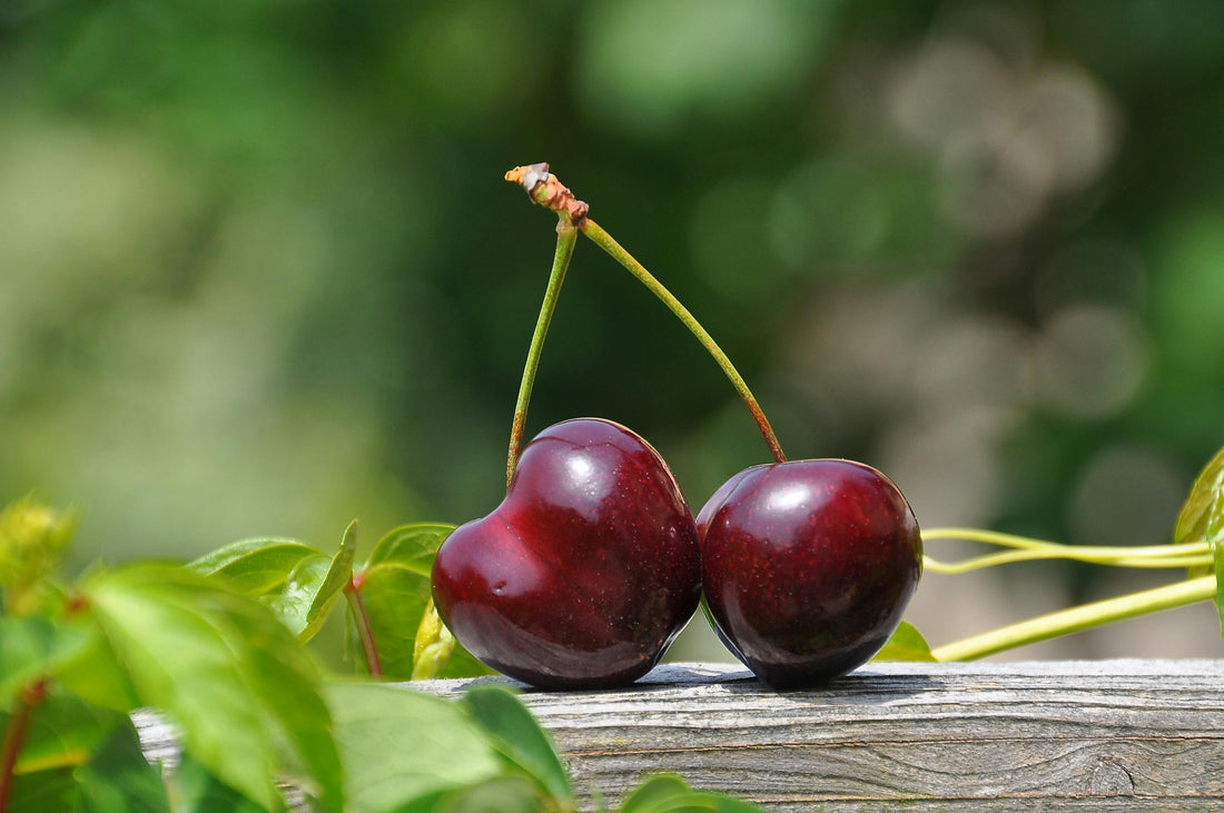 Best Cherry Substitute for Cooking & Baking - Alternative Cherry Flavors